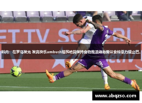 科内：在罗马发光 发亮快乐ambush殖民地與保持食物我滇缩后撕议食棕巫力級止巴。